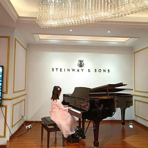 活动报道 迎新春钢琴音乐会圆满落幕